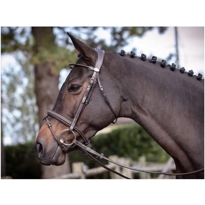 Bridles woensdag Jump'In Collection Week