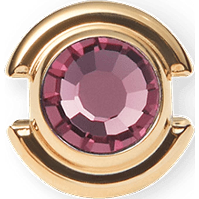 Daniel Wellington DW Charms Birthstones 7mm Gold