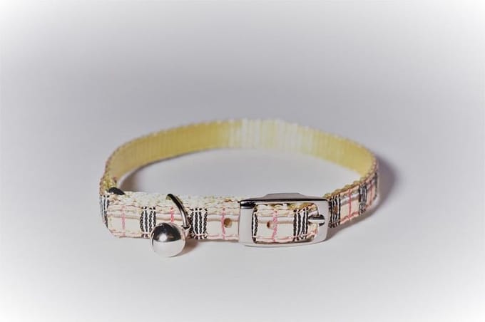 Kattenhalsbandje beige