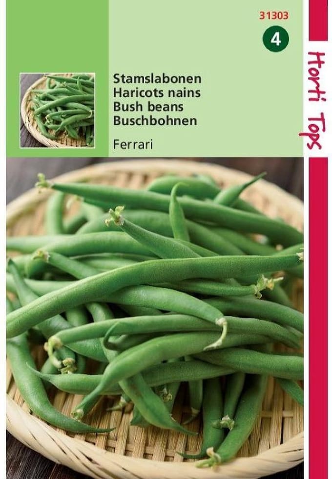 Hortitops zaden - Struikprinsessenbonen Ferrari 25 gram