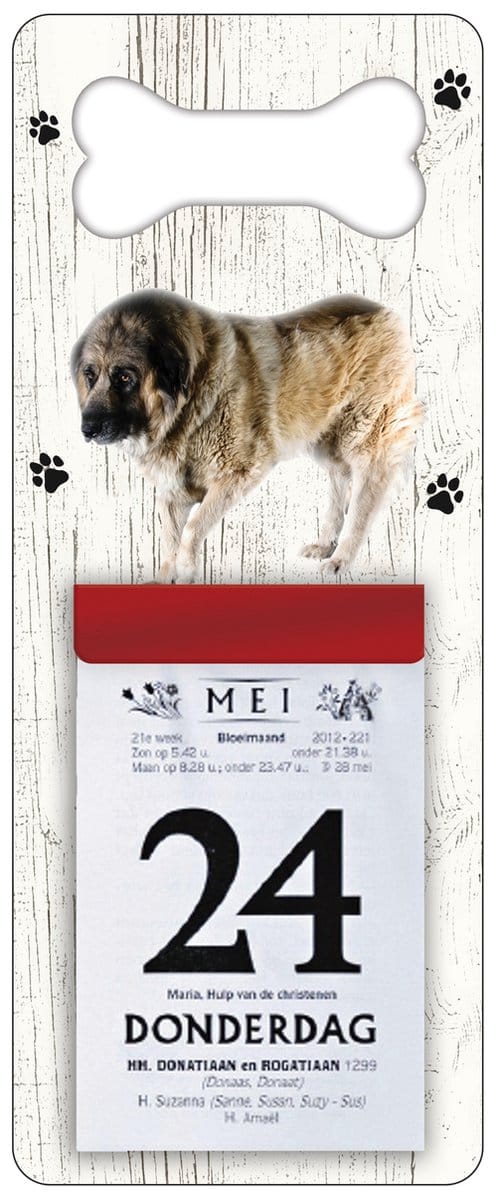 Scheurkalender 2027 Hond: Kaukasische Aucharka