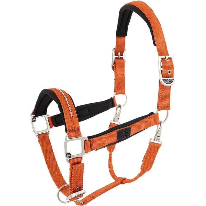 Licol polypropyleen BR Equitation Kimberly