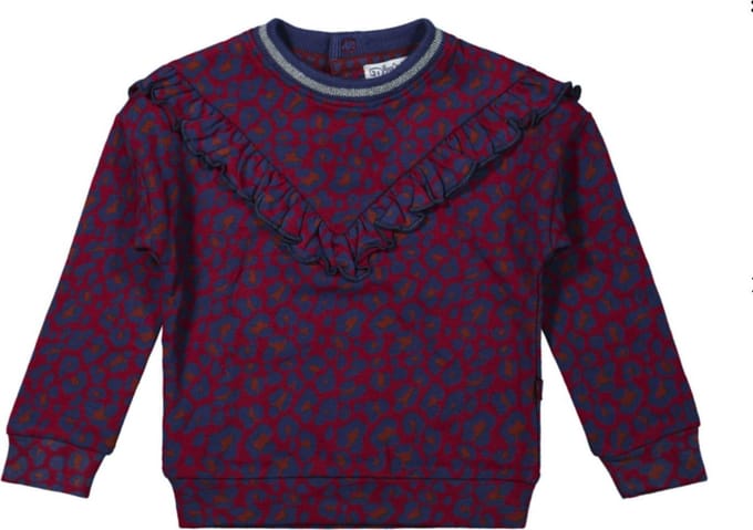 Dirkje - Girls Sweater ls Burgundy + aop - maat 110