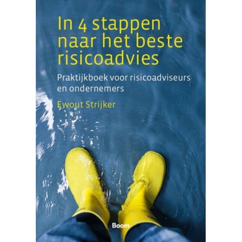 In 4 Stappen Naar Het Beste Risicoadvies - Ewout Strijker