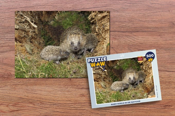Puzzel Baby egels in de natuur - Legpuzzel - Puzzel 500 stukjes