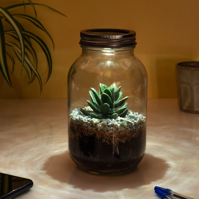 Lichtgevend Terrarium van Gift Republic