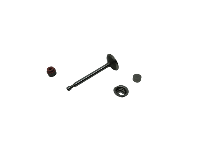 Briggs & stratton inlaatklep