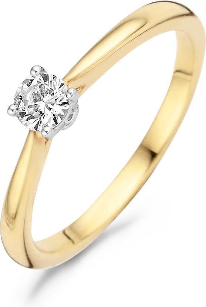 Blush 14 Karaat Gouden Ring  (Maat: 54) - Goudkleurig