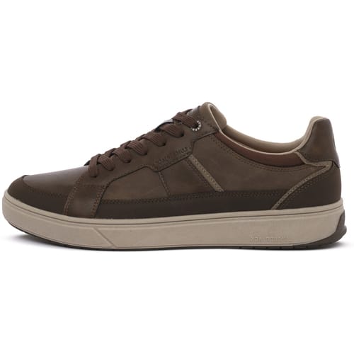 Sneakers Lumberjack BROWN