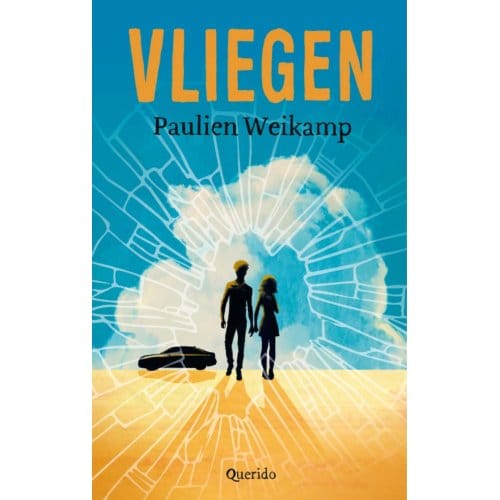 Vliegen - Paulien Weikamp