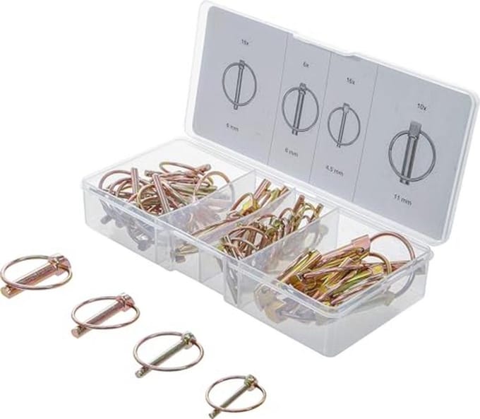 Assortiment Ringborgpennen 50-delig voor Professioneel Gebruik