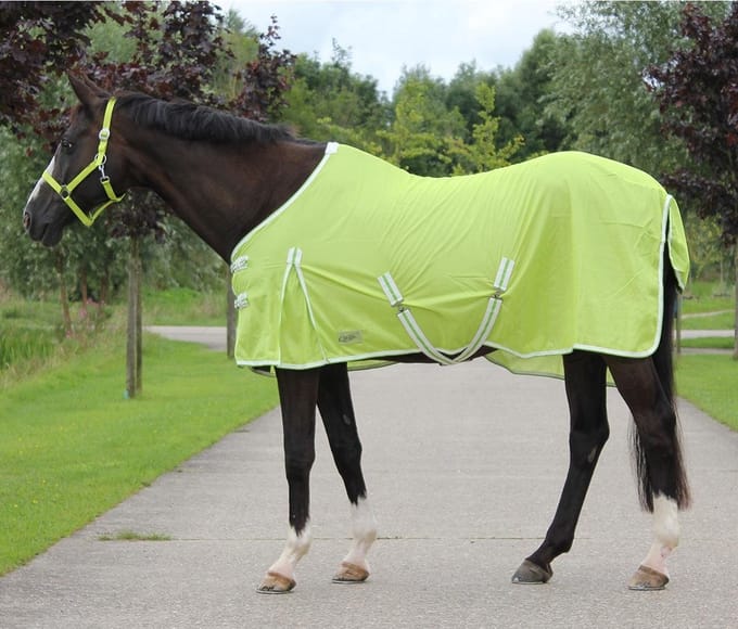 Qhp Vliegendeken  Color - Light Green - 215 Cm