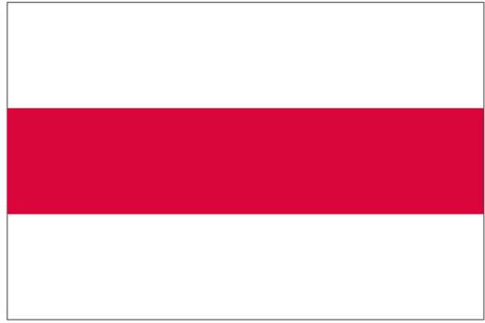 Vlag Enschede 30x45cm - Voormalig