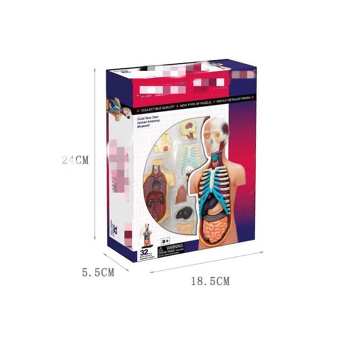 4D Master Puzzel Menselijk Lichaam Orgaan Anatomisch Model Bouwspeelgoed Medisch Lesmodel Biologische Educatieve Speelgoed