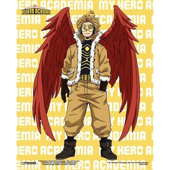 3D-lijst voor kinderen Pyramid My Hero Academia Hawks