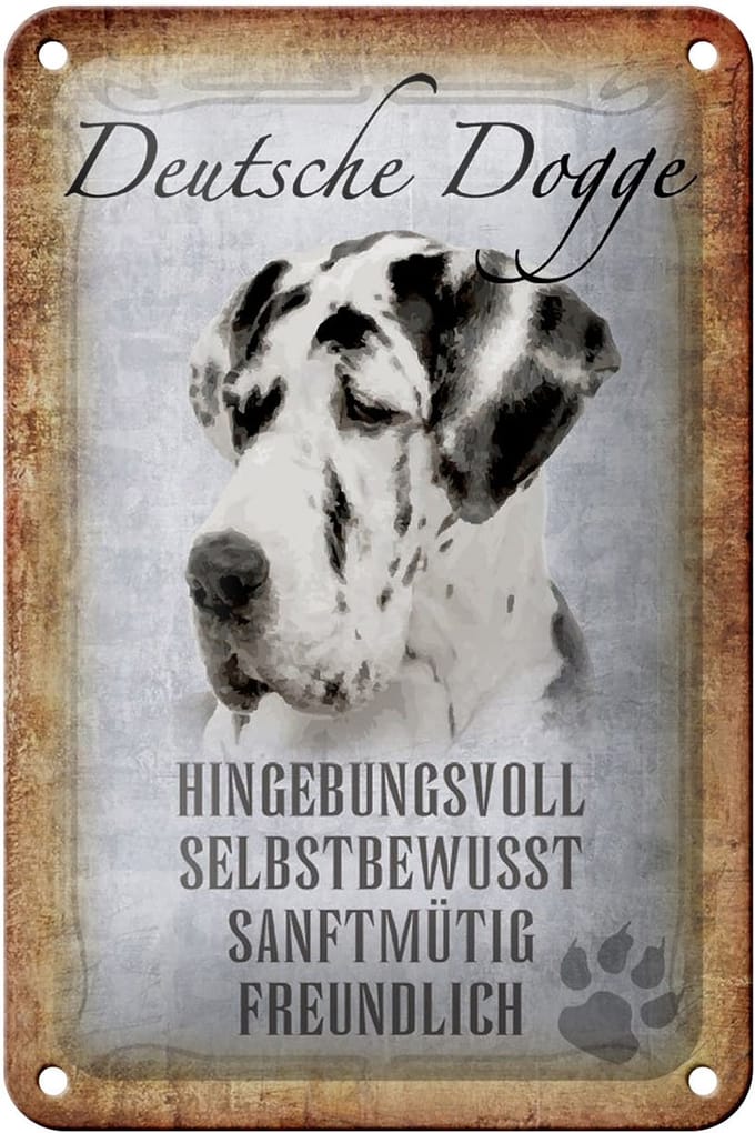 Blechschild Spruch 12x18cm Deutsche Dogge Hund Schild