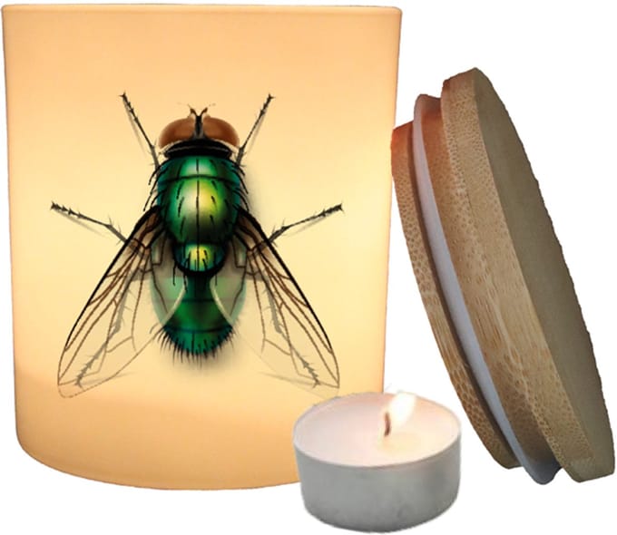 Geurfruit - Waxinelichthouder - Insect - Vlieg