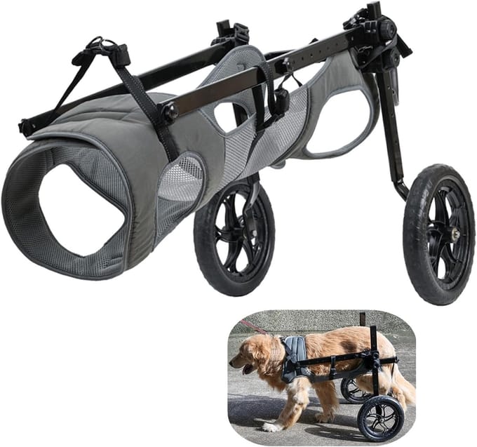 Hondenrolstoel - Hulpmiddel achterpoten - Hond mobiliteit - Lichtgewicht aluminium frame - Verstelbaar - Grijs