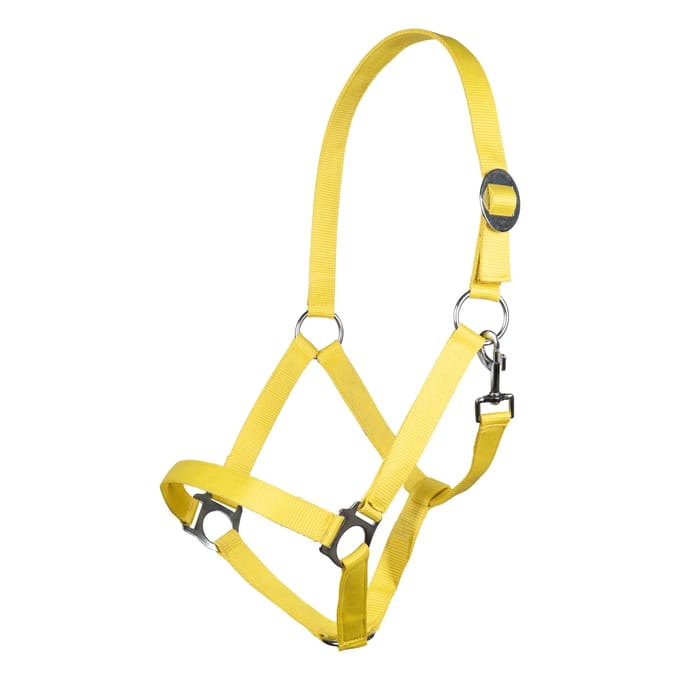 Halster -Stars Economy Softice- neongeel Pony