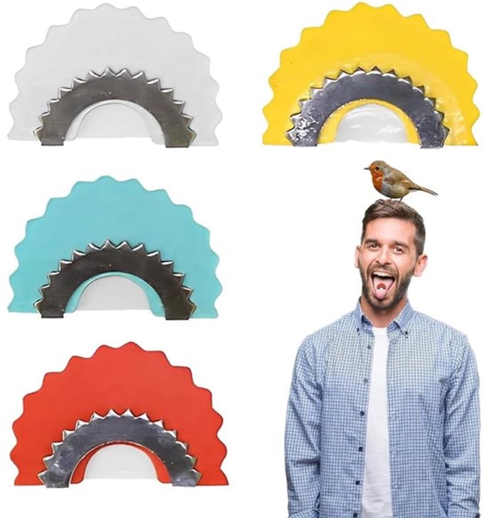 Dailygoods- Vogelfluitjes 4 Stuks - Magische Geluidsgenerator