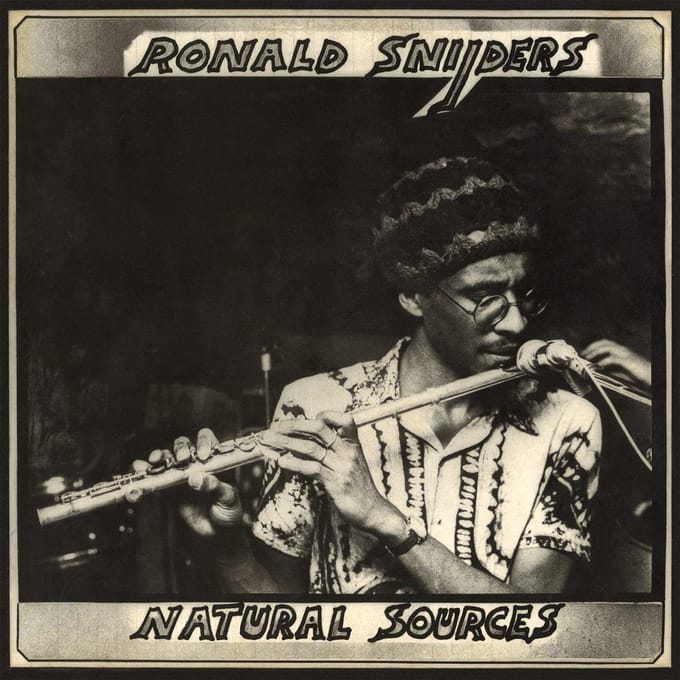 Ronald Snijders - Natural Sources (CD)