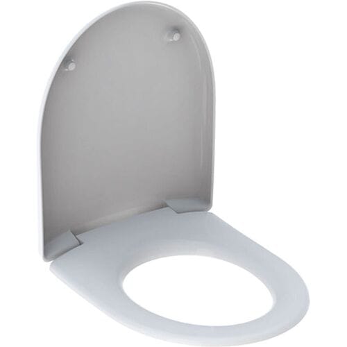 Geberit Renova wc-zitting bevestiging van boven: softclose=ja, QuickRelease-functie=nee, bevestiging=van boven, pergamon / glanzend, 573025068
