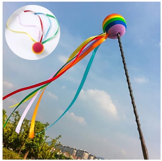 Dailygoody - Autoantenne - Decoratie - Lange band - Regenboog - Licht
