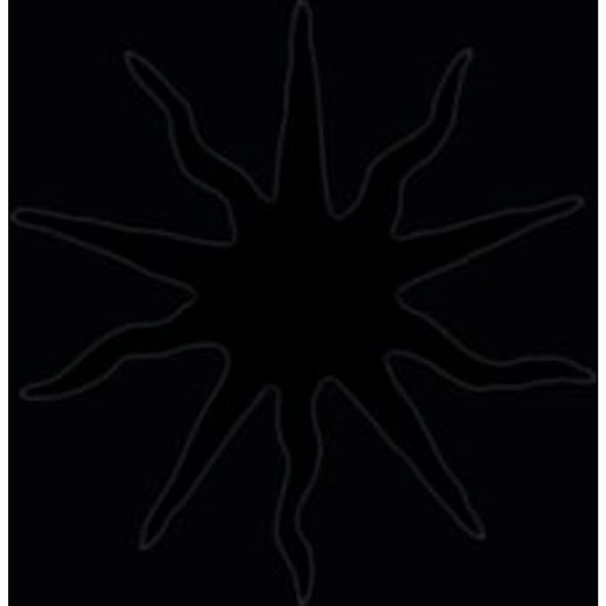 This Immortal Coil - The World Ended A Long Time Ago (5 LP)