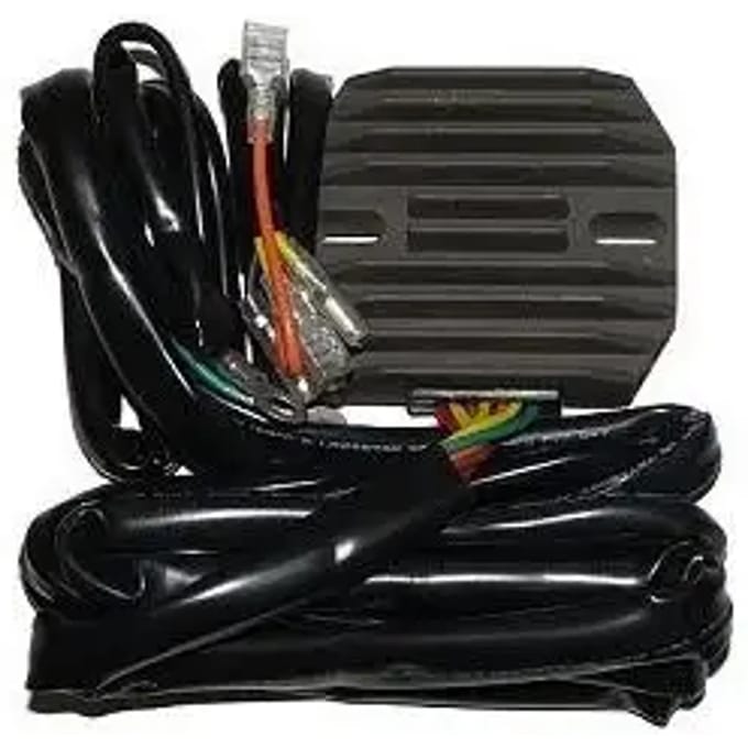 Aanpasbare regelaar Electrosport Guzzi