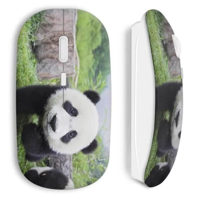 Souris sans fil - MANIACASE - Panda - Couleur verte - Clé USB wifi incluse - Compatible Mac et PC