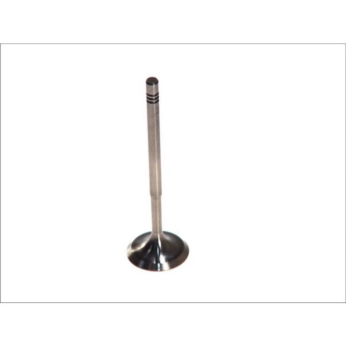 Inlaatklep PARADOWSCY PVWG039-S-0-N