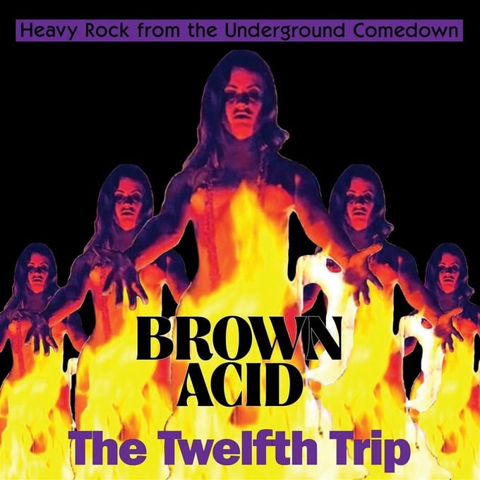 Various Artists - Brown Acid: The Twelfth Trip (CD)