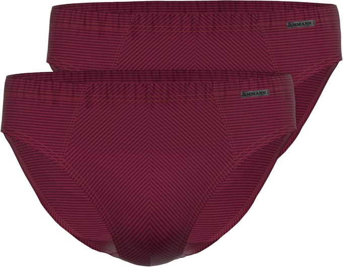 2-pack minislip Day Modern