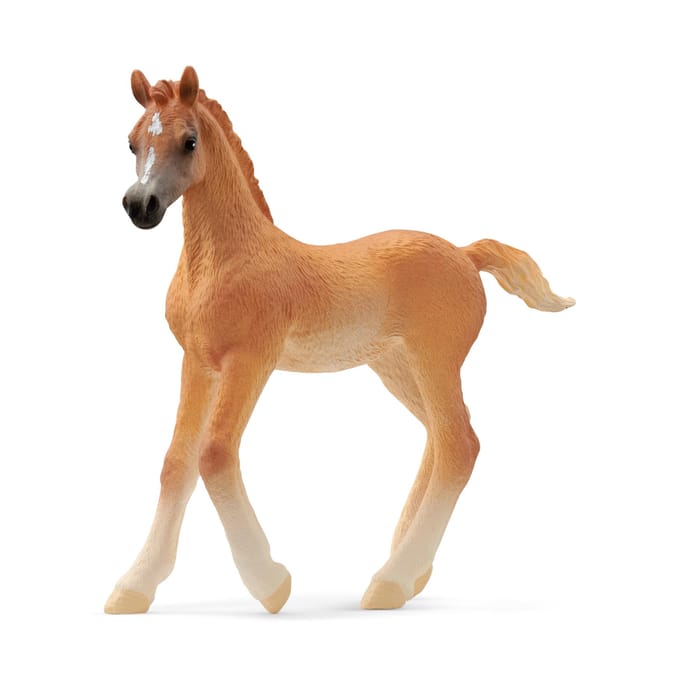 schleich HORSE CLUB - Arabisch veulen - 13984