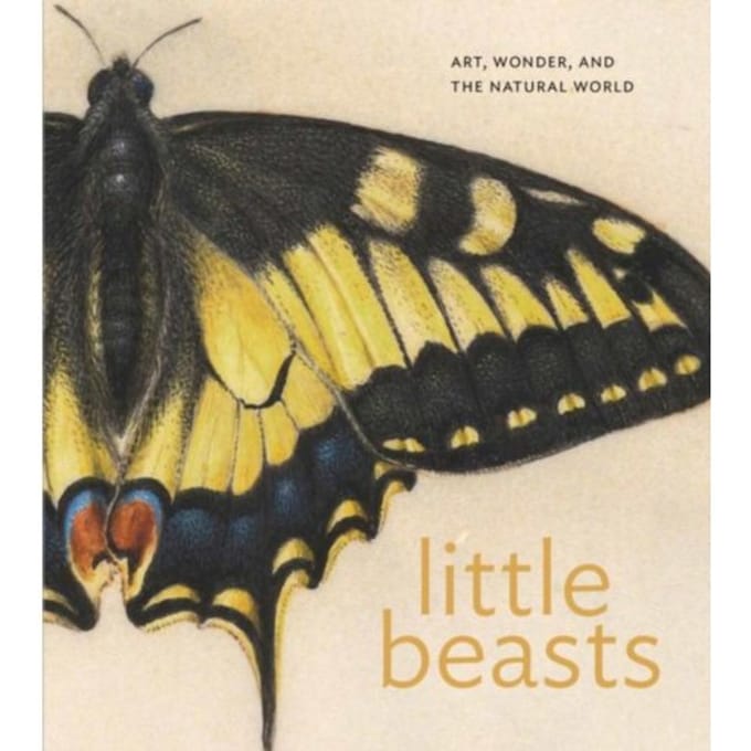Little Beasts