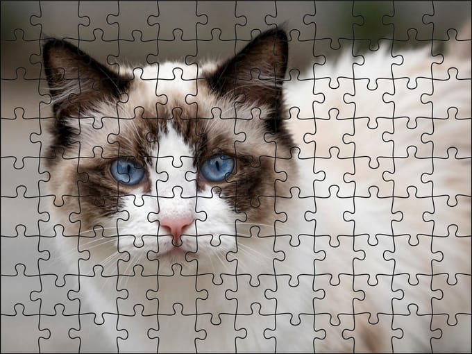 Puzzel Ragdoll | 120 stukjes | Dierenpuzzel | Kattenpuzzel