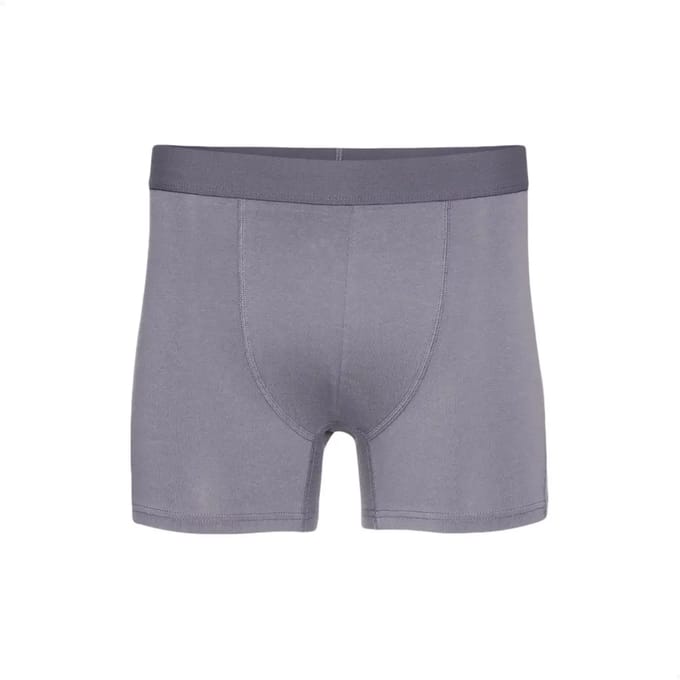 Boxer Colorful Standard Classic Organic purple haze