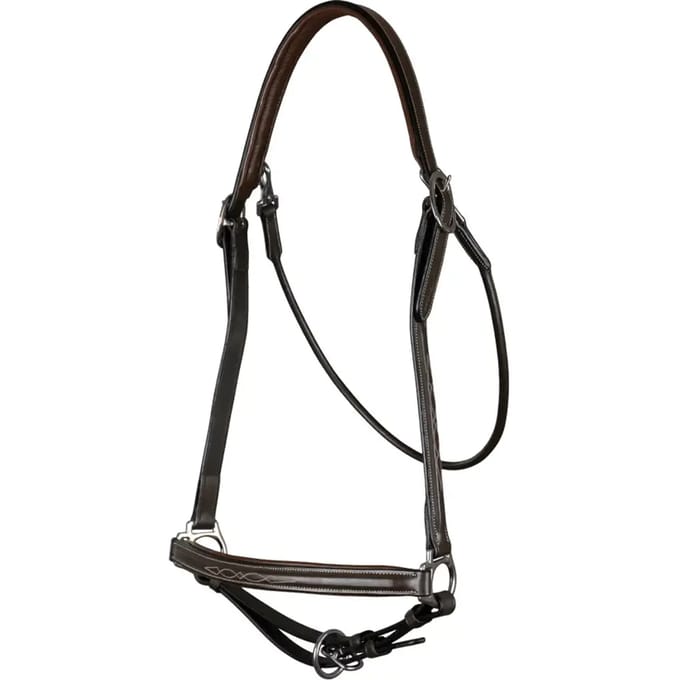 Dy'on Halster  Working Collection Grooming Leer - Brown - full