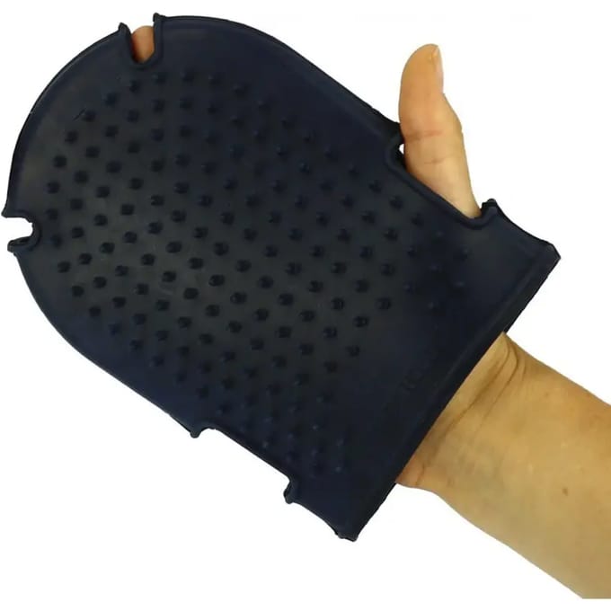 Rijhandschoenen + hippotonenborstel