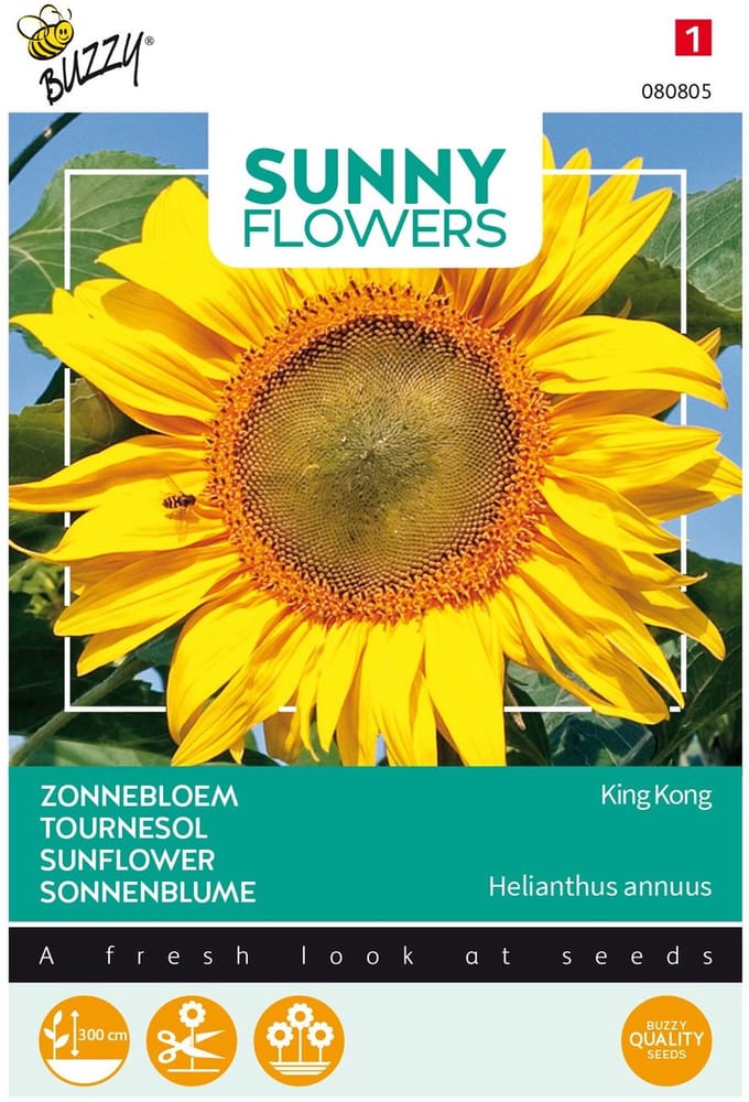 Buzzy® Sunny Flowers, Zonnebloem King Kong
