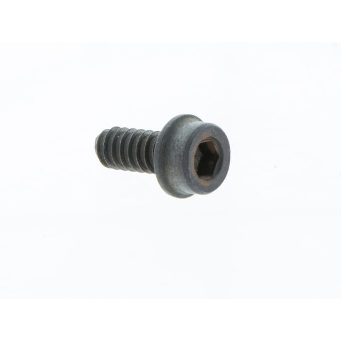 Screw