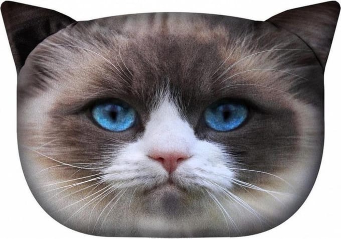 Bertoni - Knuffelkussen met kat motief Sierkussen met verborgen ritssluiting en vulling Kussen