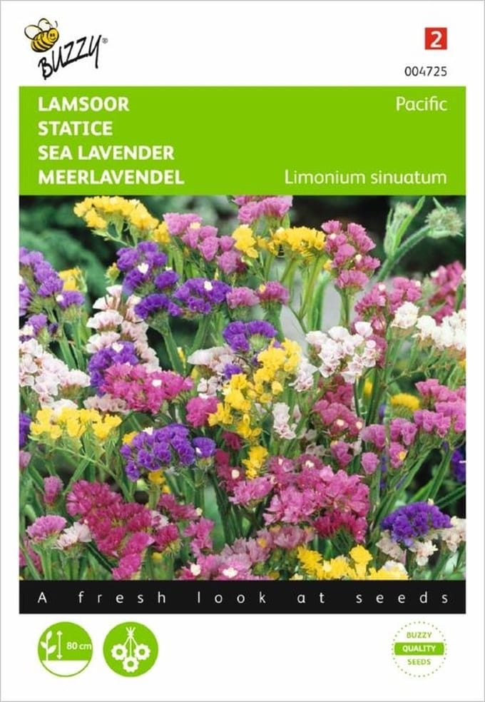 Lamsoor - Statice sinuata Pacific