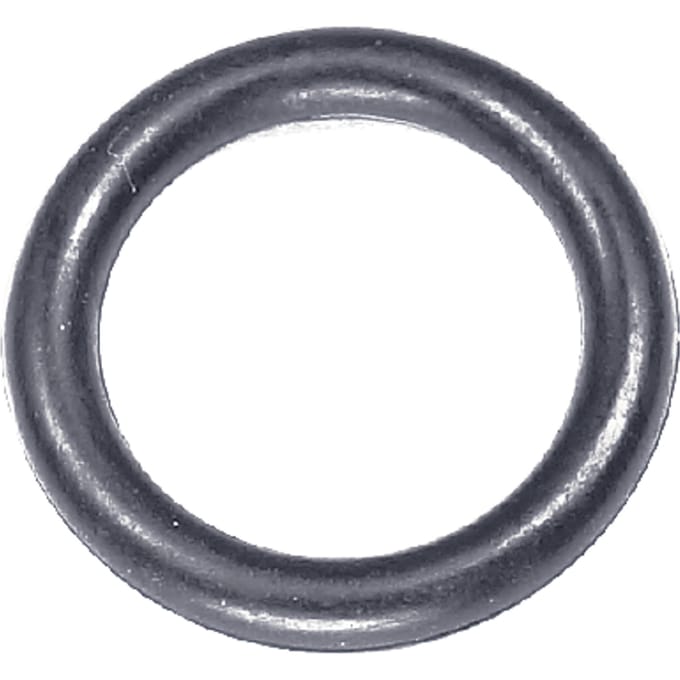 O-ring