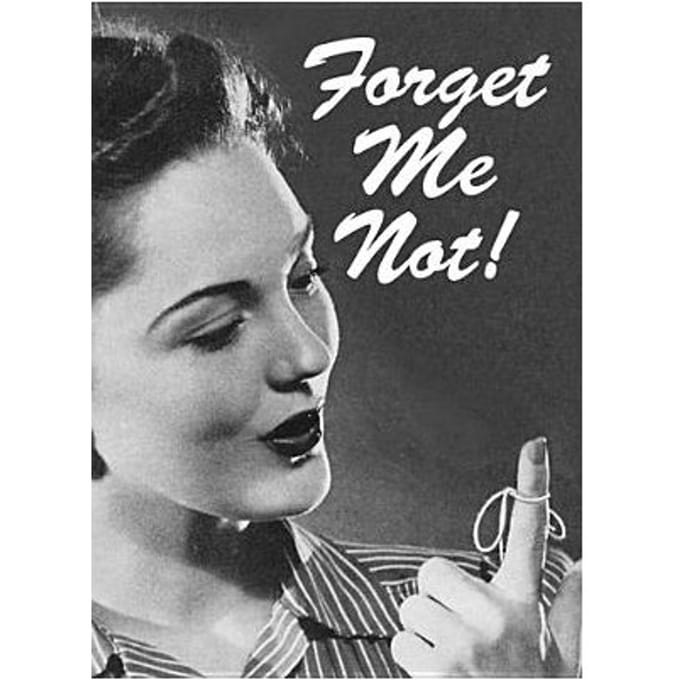 Forget Me Not! Notebook - Dover