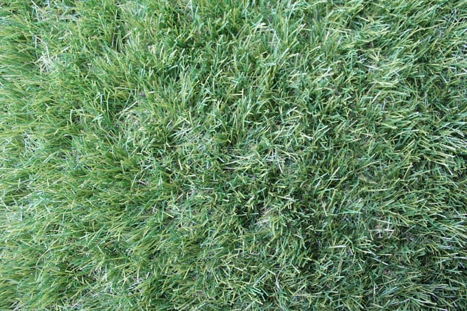Niba® Kunstgras - 1x4m² - 40mm - Grastapijt - Groen - UV bestendig