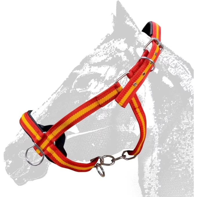 Hoofdstellen voor paarden Zaldi 290