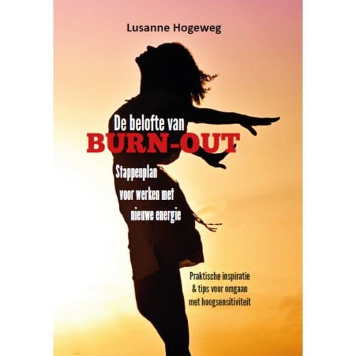 De Belofte Van Burn-Out - Lusanne Hogeweg