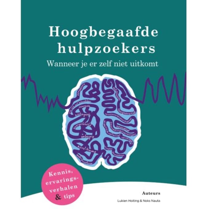 Hoogbegaafde Hulpzoekers - Lukien Hoiting