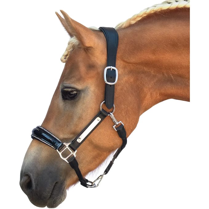 Leren halster voor paard Bridlery Eternity Warmblut